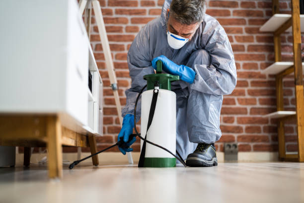 Best Real Estate Pest Inspections  in Kettering, OH